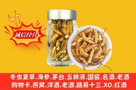 辽源龙山区回收散虫草