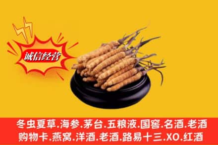 辽源龙山区名酒回收冬虫夏草.jpg